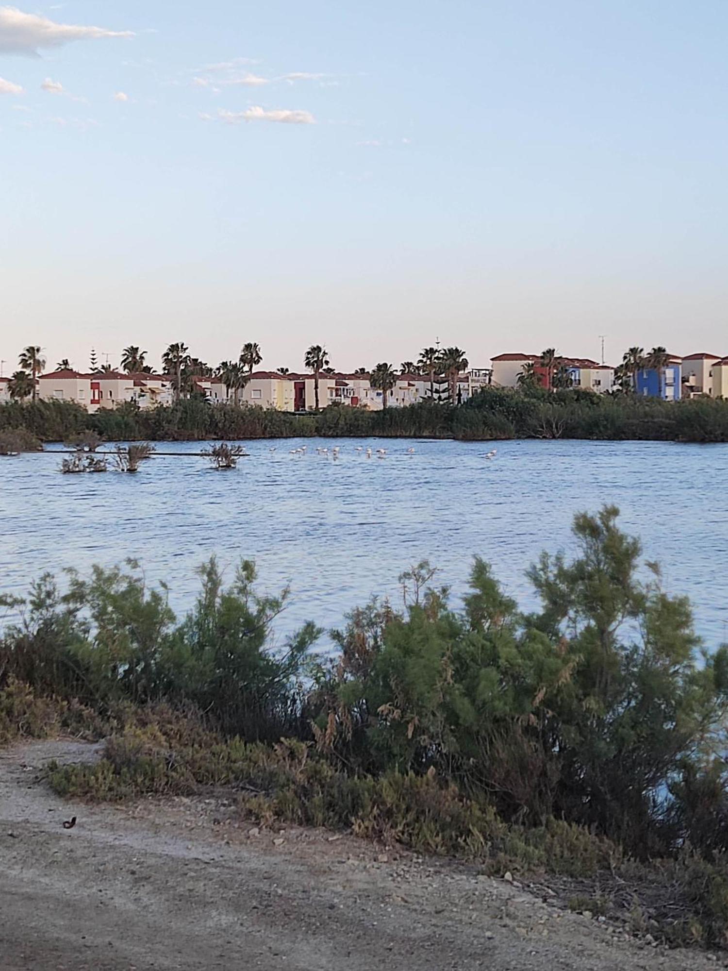 El Mirador de Torremari - Vera Playa Naturista Exterior foto